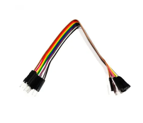 Jumper Wire (20cm) 10 x Male to Female