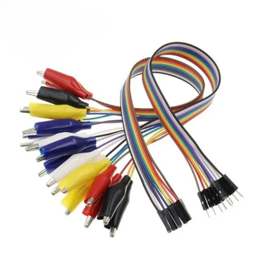 10*male to crocodile